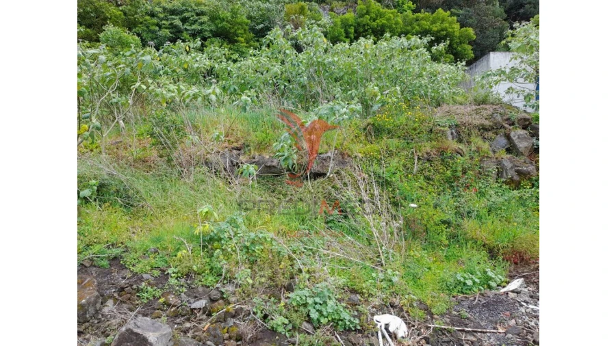 Terreno para Venda em Biscoitos Foto 5