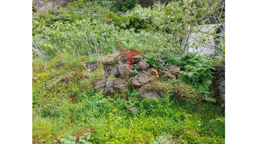 Terreno para Venda em Biscoitos Foto 3