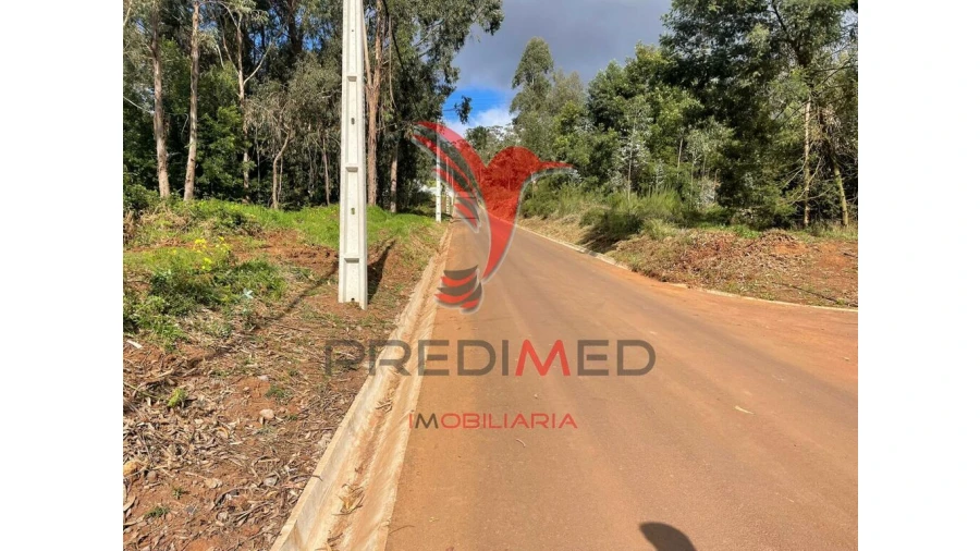 Terreno para Venda em Quinta Grande Foto 4