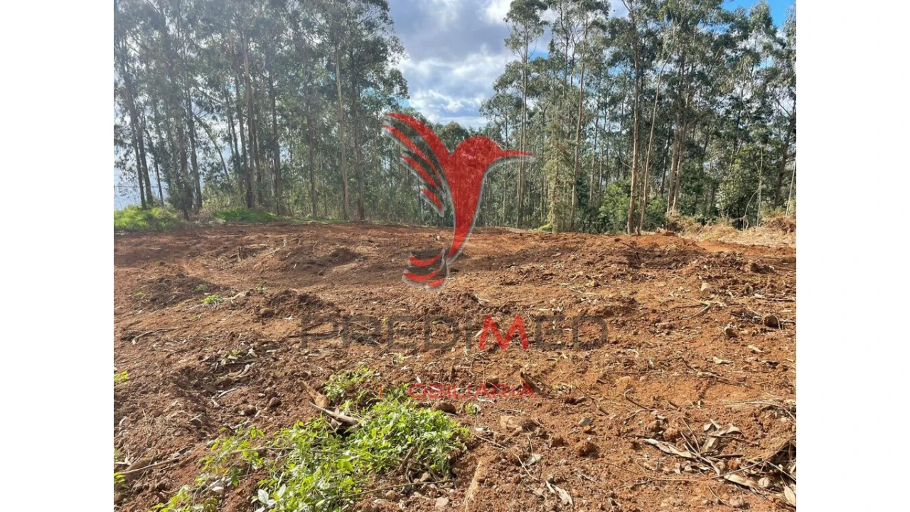 Terreno para Venda em Quinta Grande Foto 3