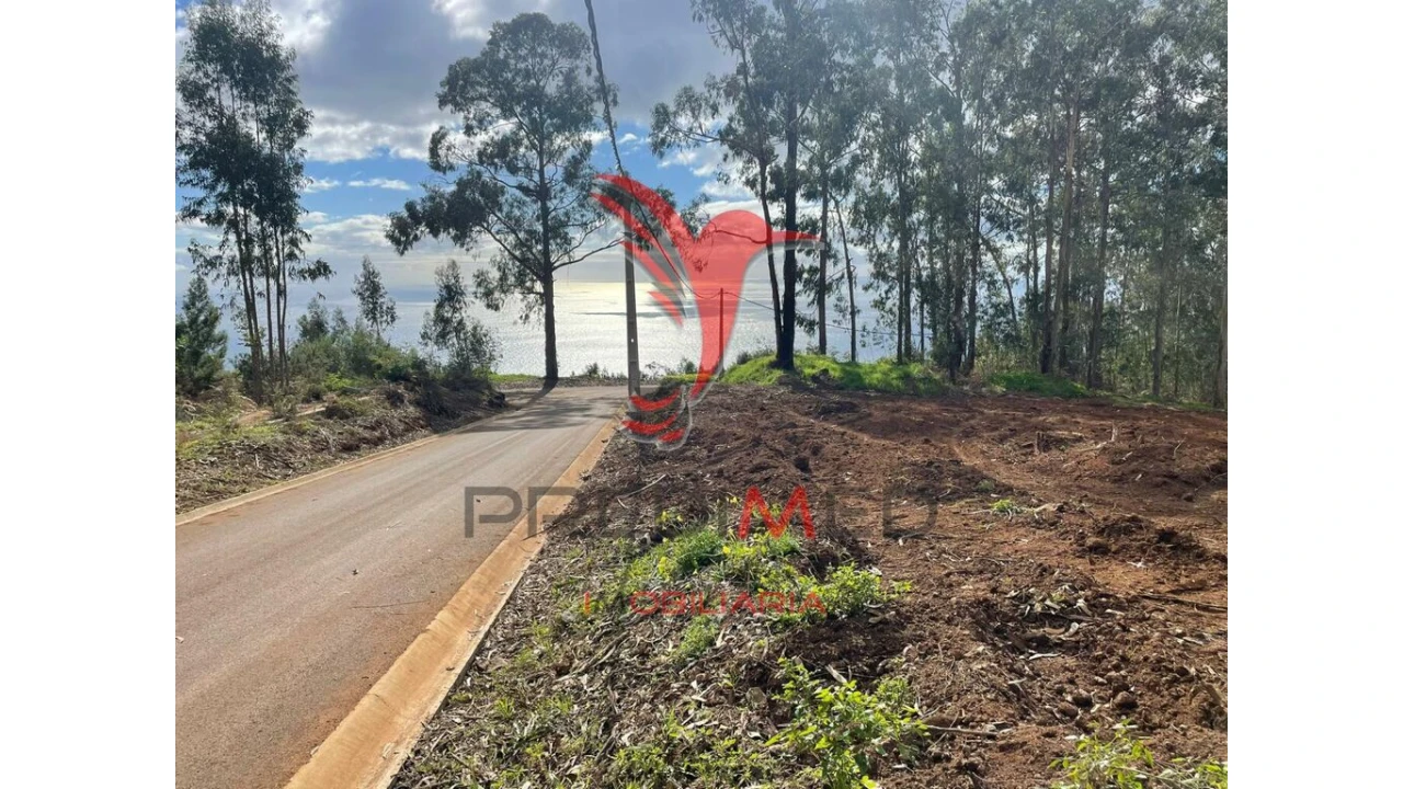 Terreno para Venda em Quinta Grande Foto 2