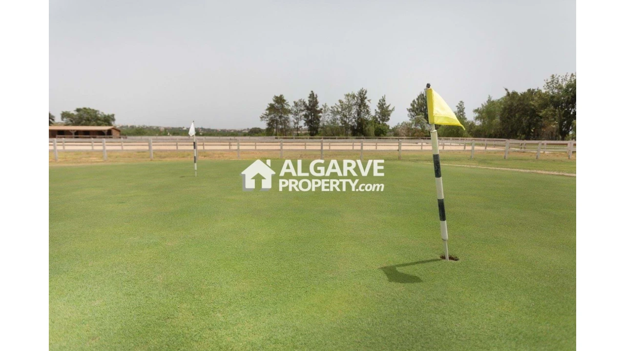 Moradia T4 para Venda em Pechão Foto 28