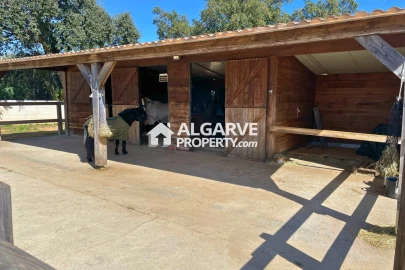 Moradia T4 para Venda em Pechão