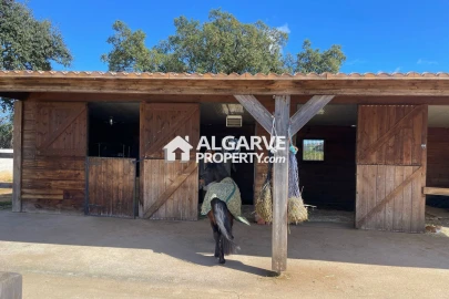 Moradia T4 para Venda em Pechão