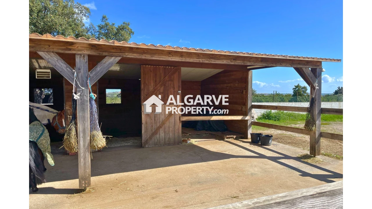 Moradia T4 para Venda em Pechão Foto 31