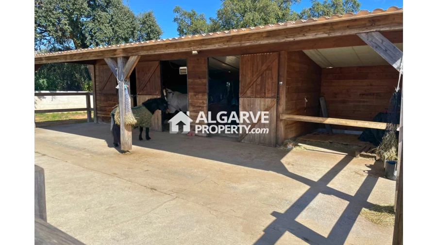 Moradia T4 para Venda em Pechão Foto 32