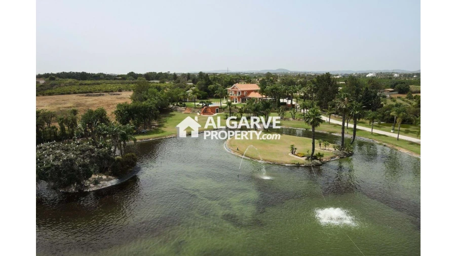 Moradia T4 para Venda em Pechão Foto 29