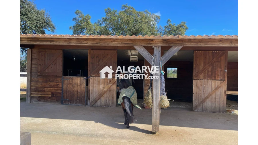 Moradia T4 para Venda em Pechão Foto 33