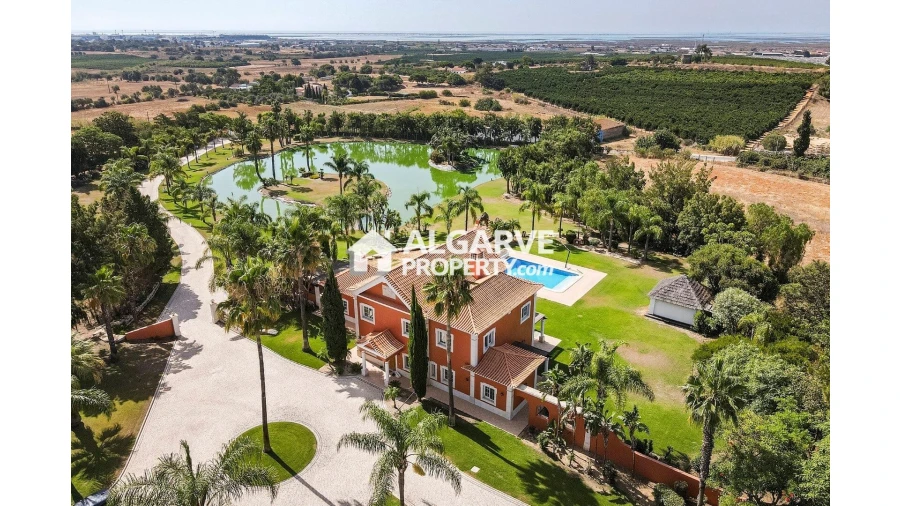 Moradia T4 para Venda em Pechão Foto 40