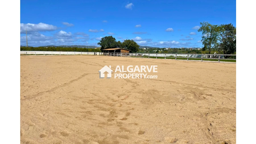 Moradia T4 para Venda em Pechão Foto 30