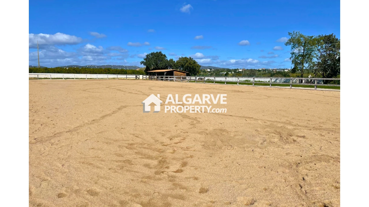 Moradia T4 para Venda em Pechão Foto 30