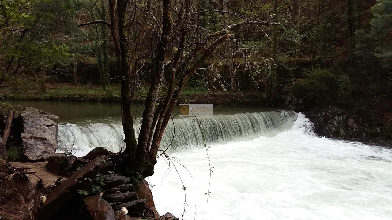 Terreno para Venda em Tropeço Foto 3