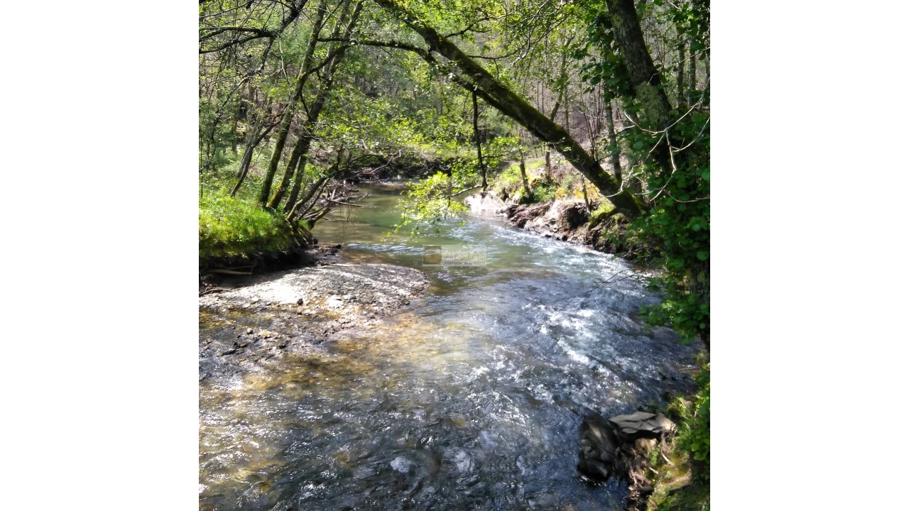 Terreno para Venda em Tropeço Foto 130