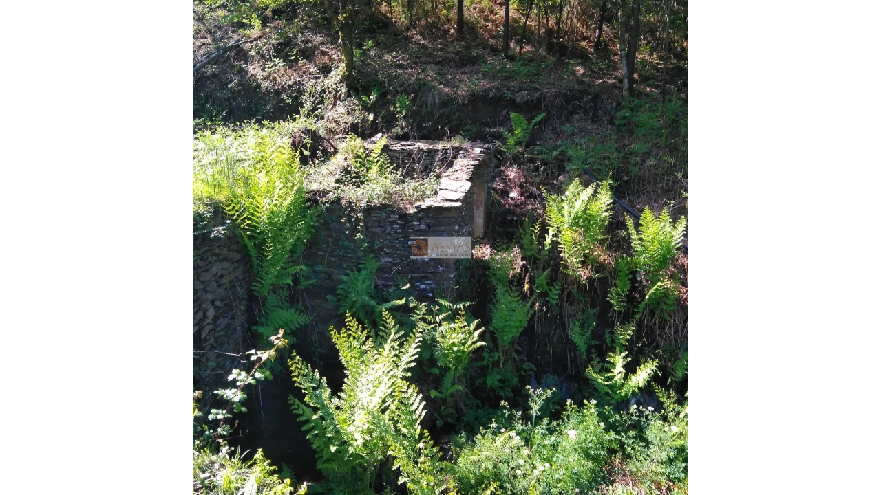 Terreno para Venda em Tropeço Foto 111
