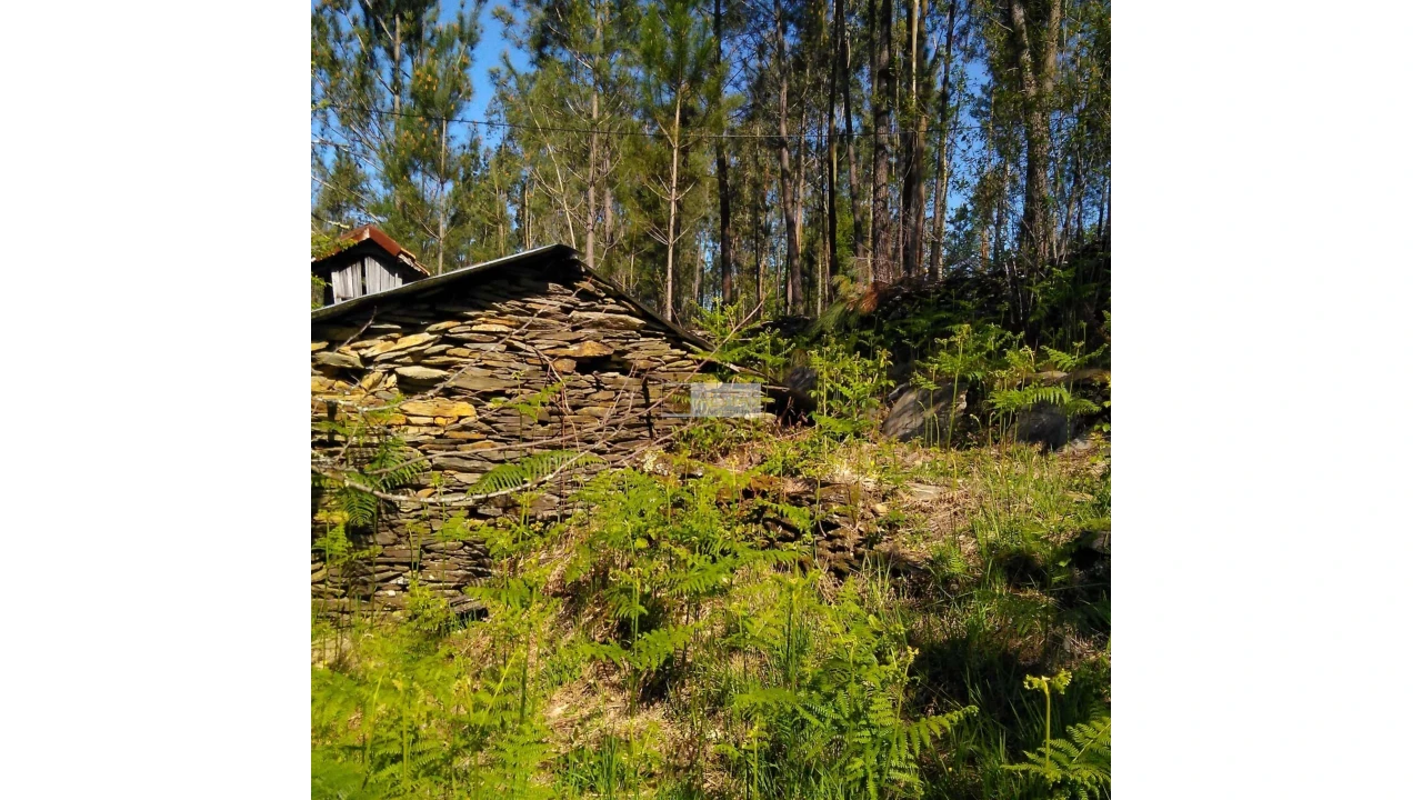 Terreno para Venda em Tropeço Foto 88
