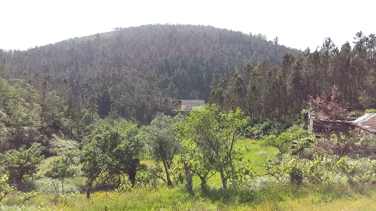 Terreno para Venda em Tropeço Foto 34