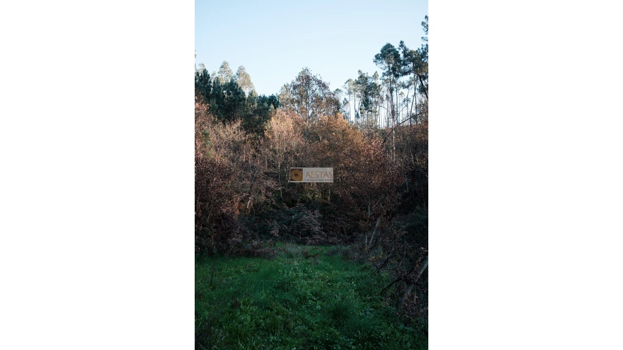 Terreno para Venda em Tropeço Foto 19