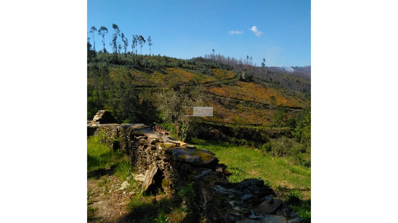 Terreno para Venda em Tropeço Foto 81