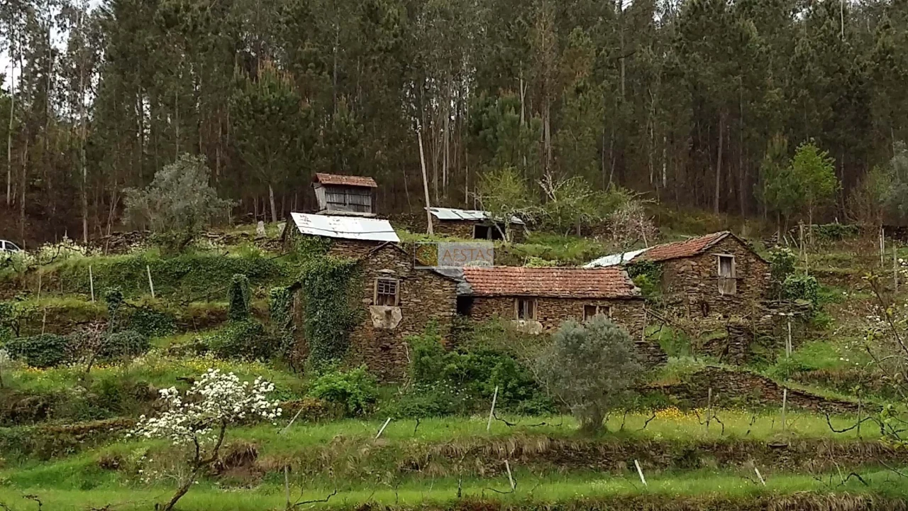 Terreno para Venda em Tropeço Foto 28