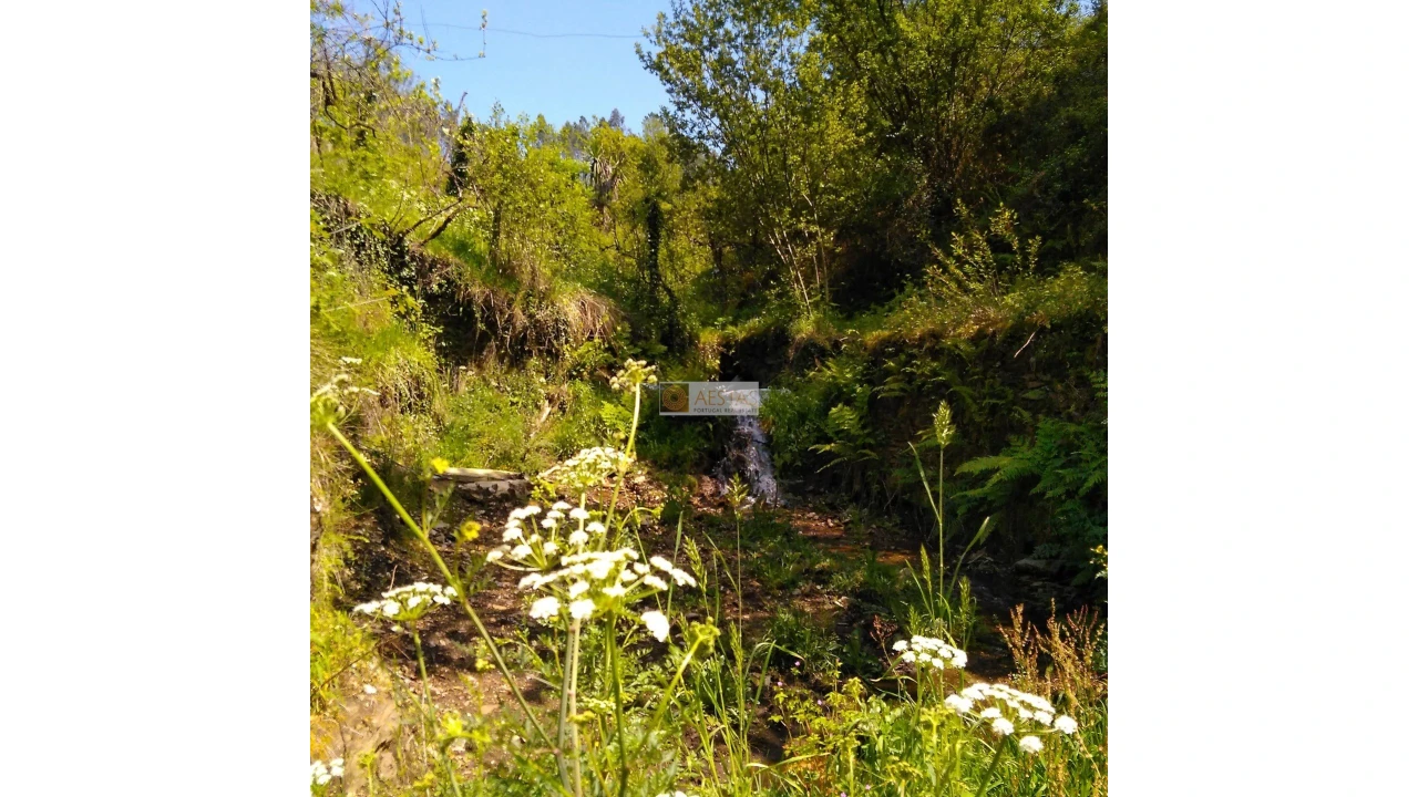 Terreno para Venda em Tropeço Foto 135