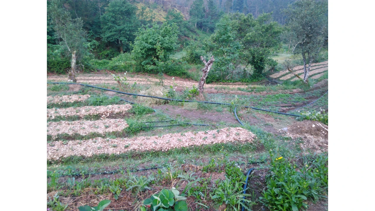 Terreno para Venda em Tropeço Foto 48