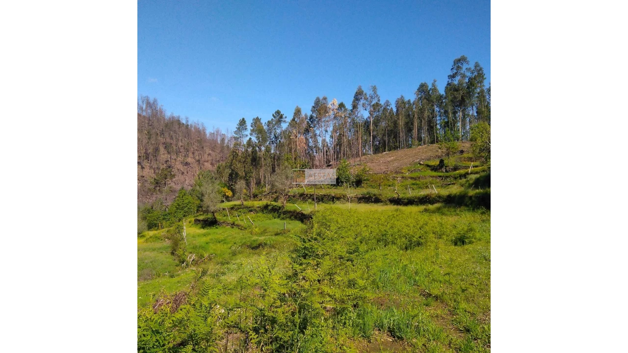 Terreno para Venda em Tropeço Foto 115