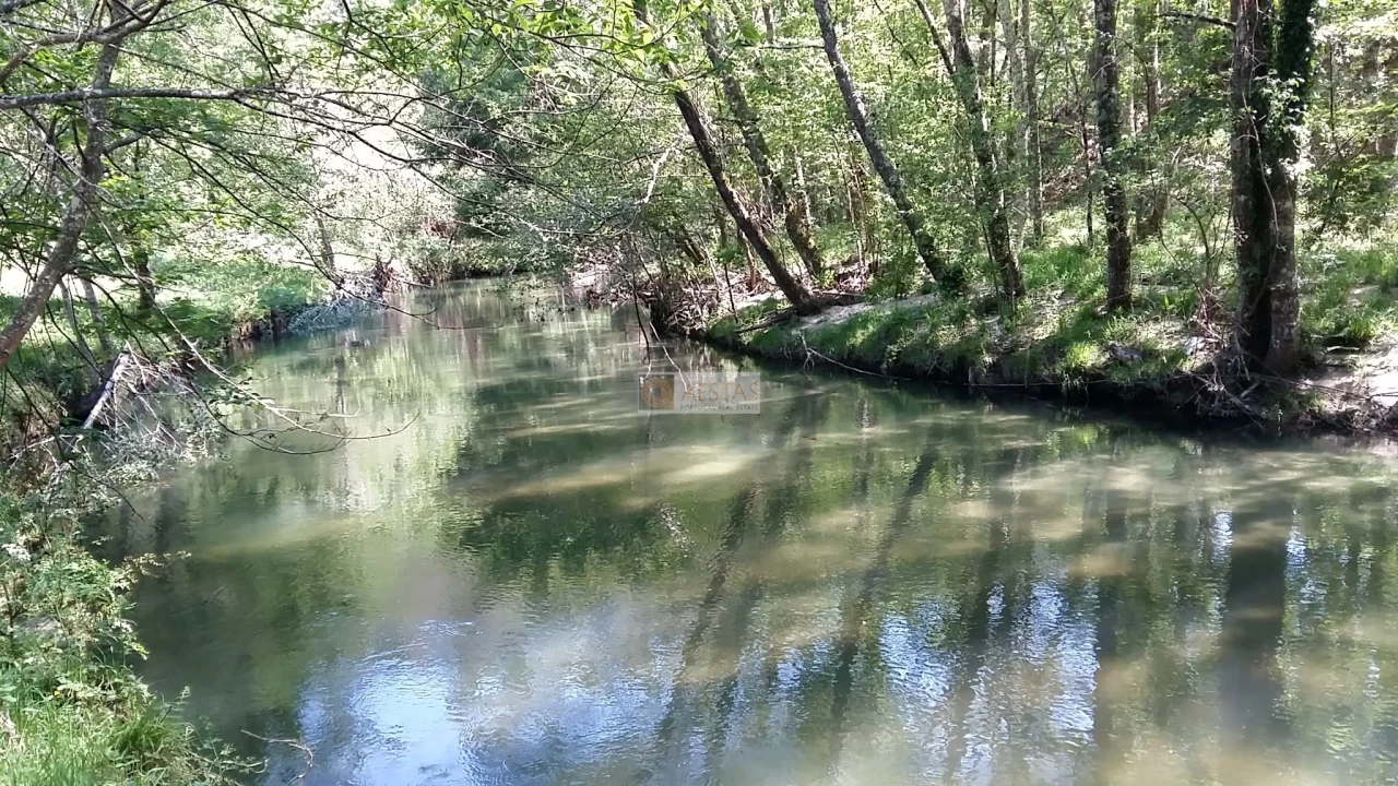 Terreno para Venda em Tropeço Foto 31