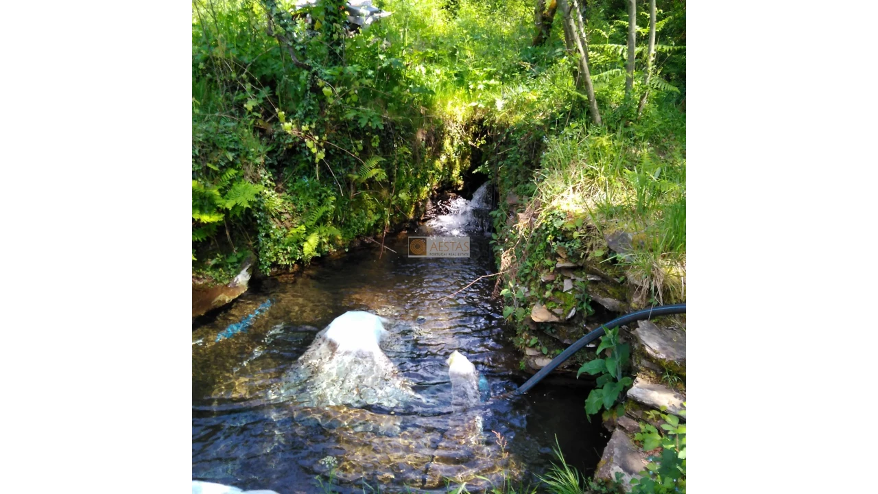 Terreno para Venda em Tropeço Foto 141