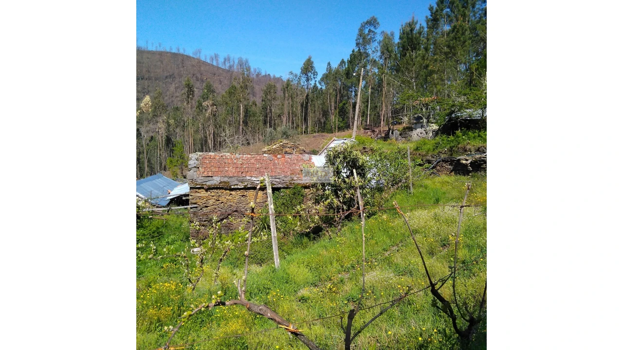 Terreno para Venda em Tropeço Foto 121