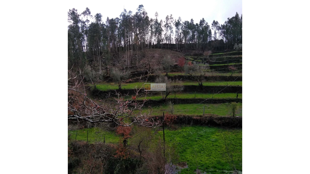 Terreno para Venda em Tropeço Foto 72