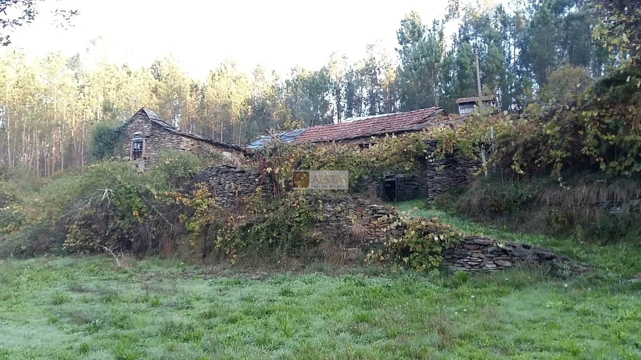 Terreno para Venda em Tropeço Foto 44