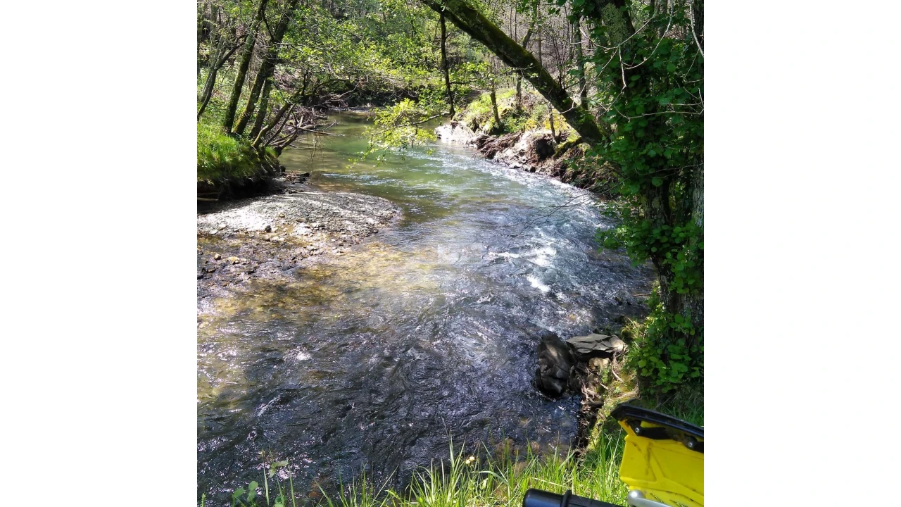 Terreno para Venda em Tropeço Foto 134
