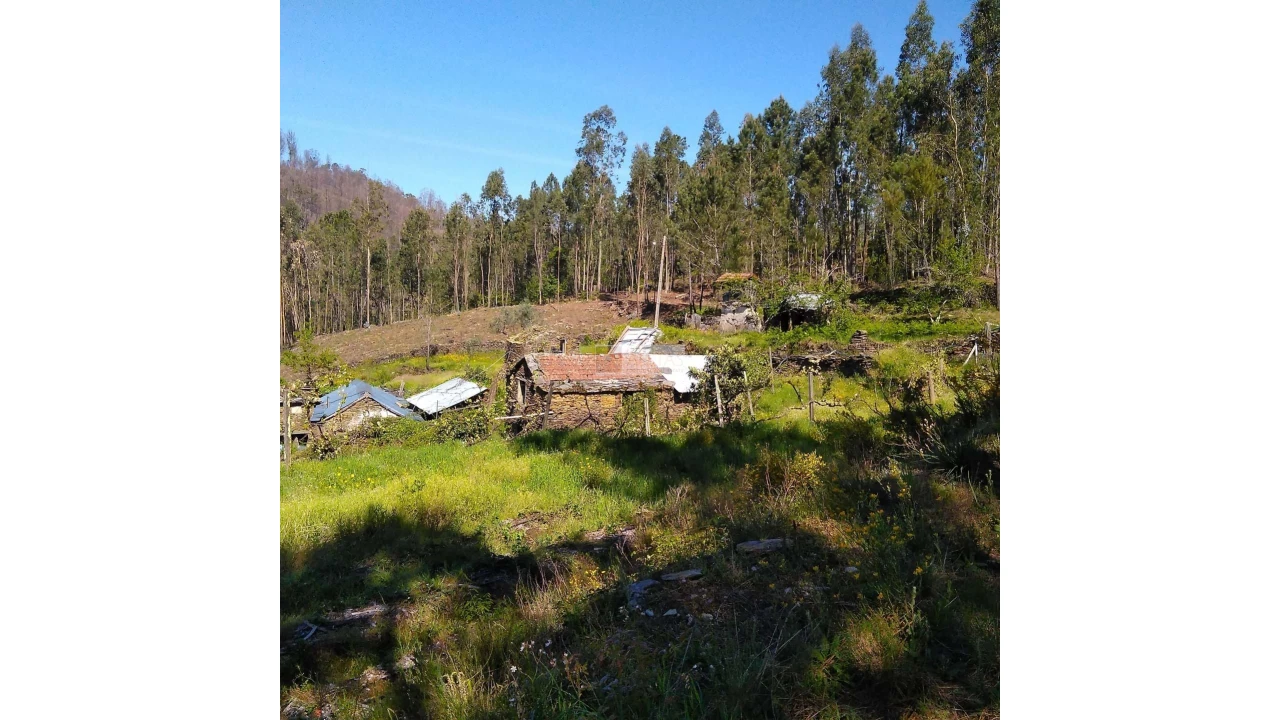 Terreno para Venda em Tropeço Foto 126