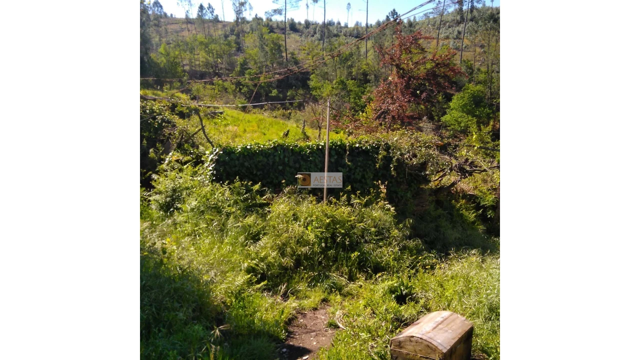 Terreno para Venda em Tropeço Foto 100