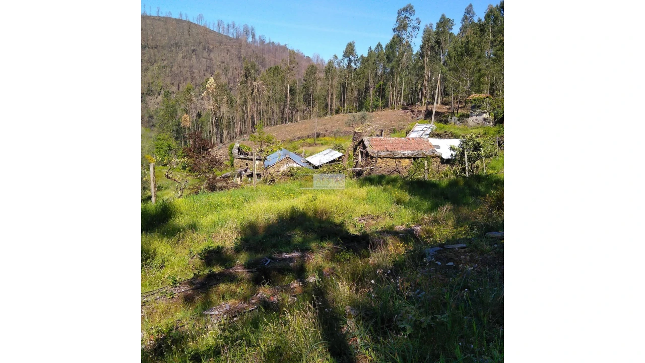 Terreno para Venda em Tropeço Foto 127