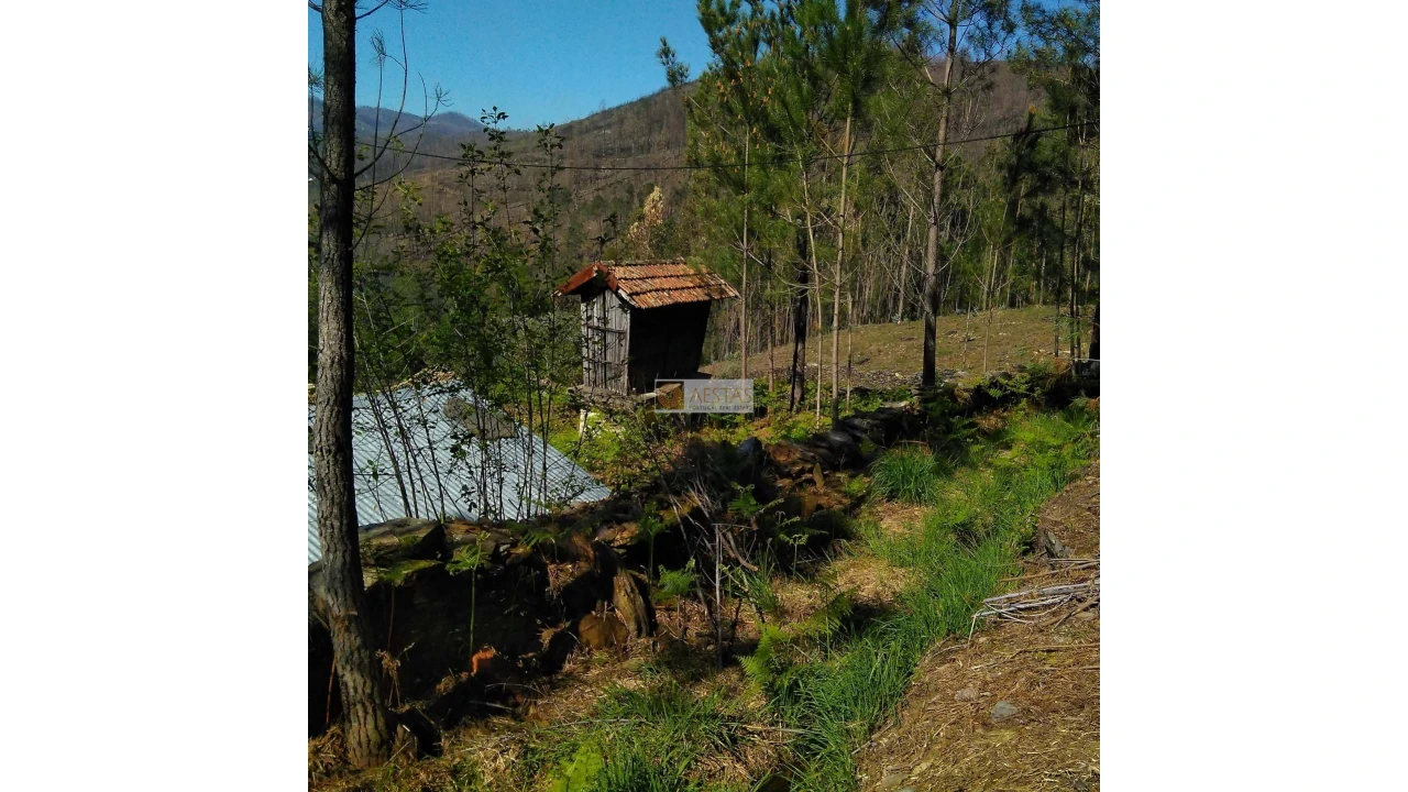 Terreno para Venda em Tropeço Foto 94