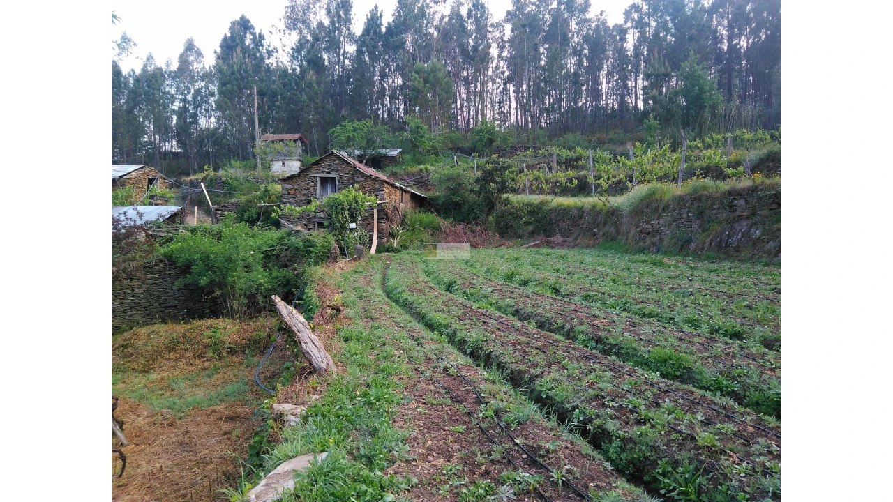 Terreno para Venda em Tropeço Foto 46