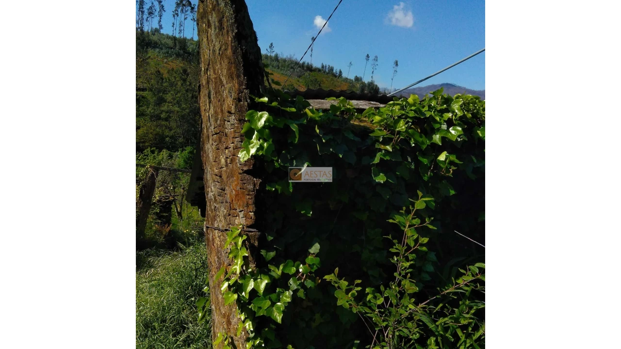 Terreno para Venda em Tropeço Foto 101