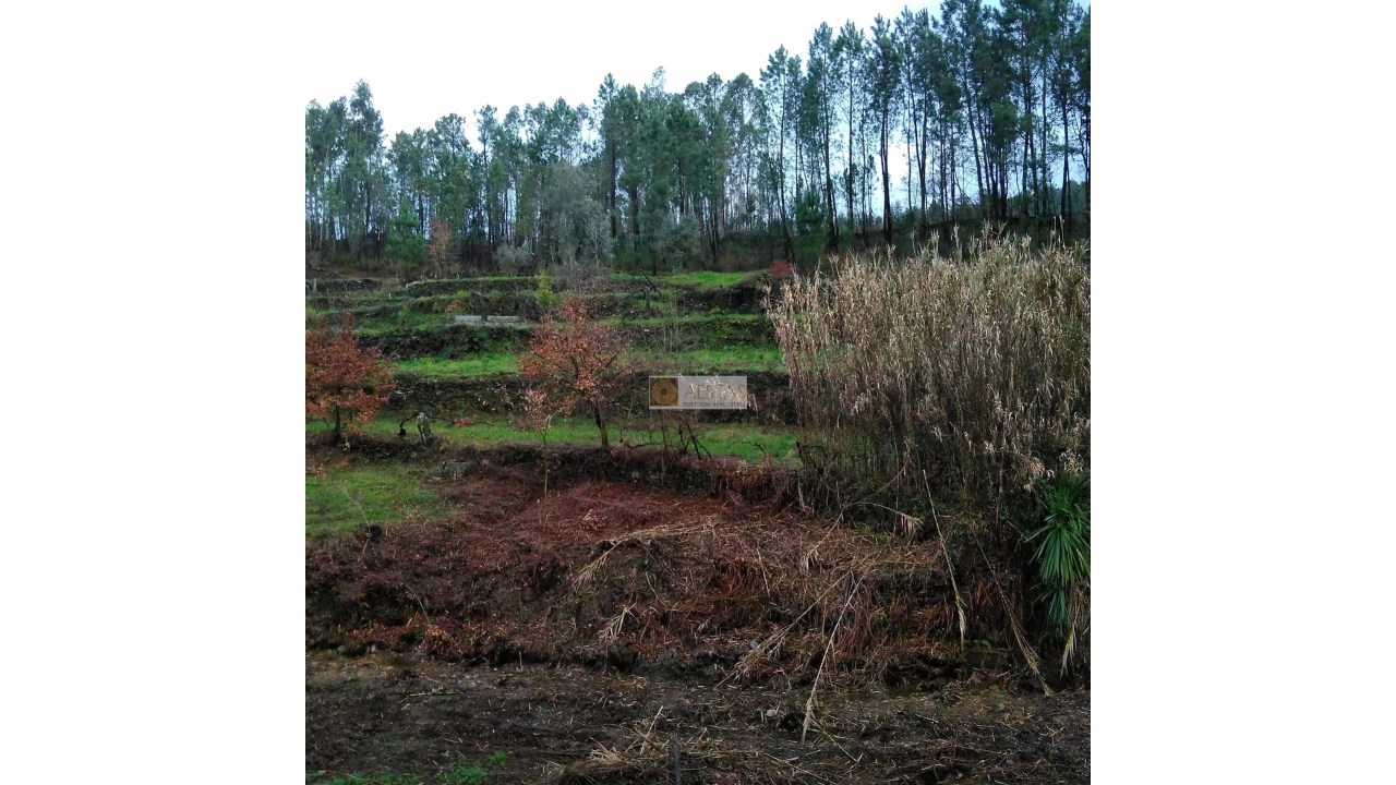 Terreno para Venda em Tropeço Foto 62