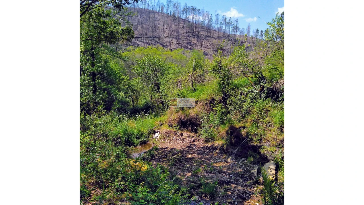 Terreno para Venda em Tropeço Foto 140