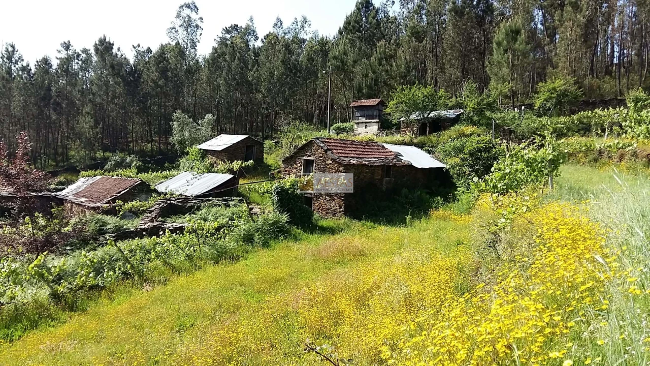 Terreno para Venda em Tropeço Foto 35