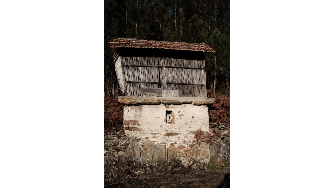 Terreno para Venda em Tropeço Foto 7