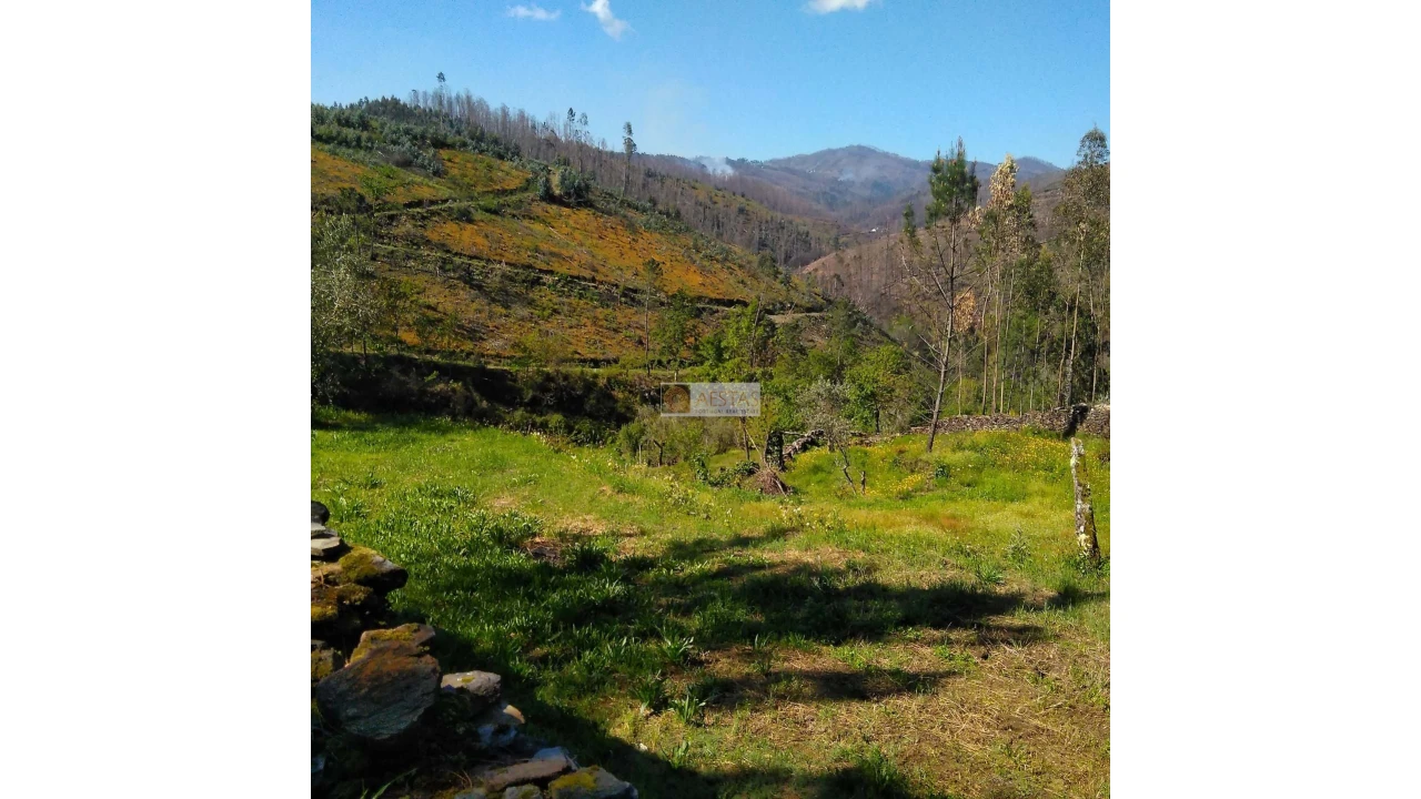 Terreno para Venda em Tropeço Foto 80