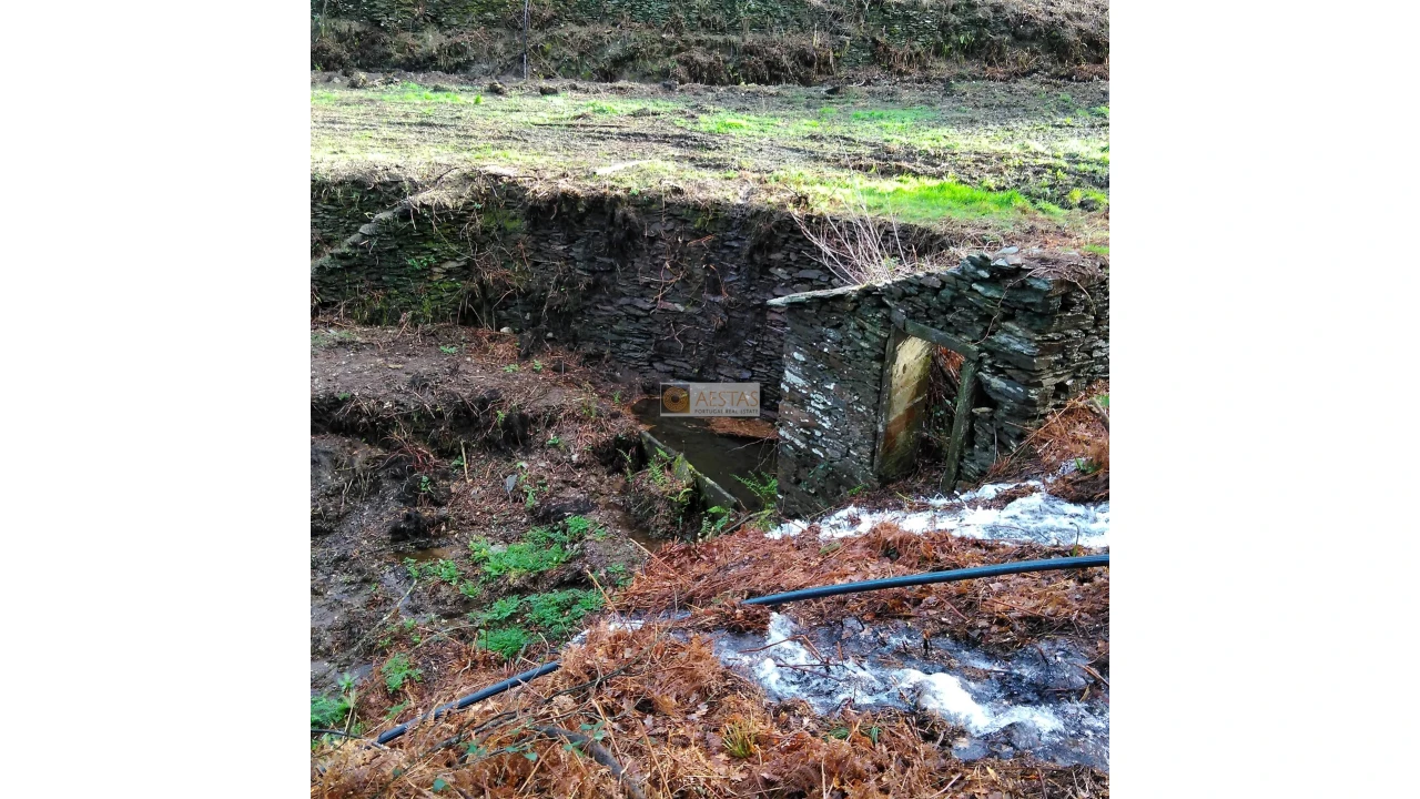 Terreno para Venda em Tropeço Foto 66