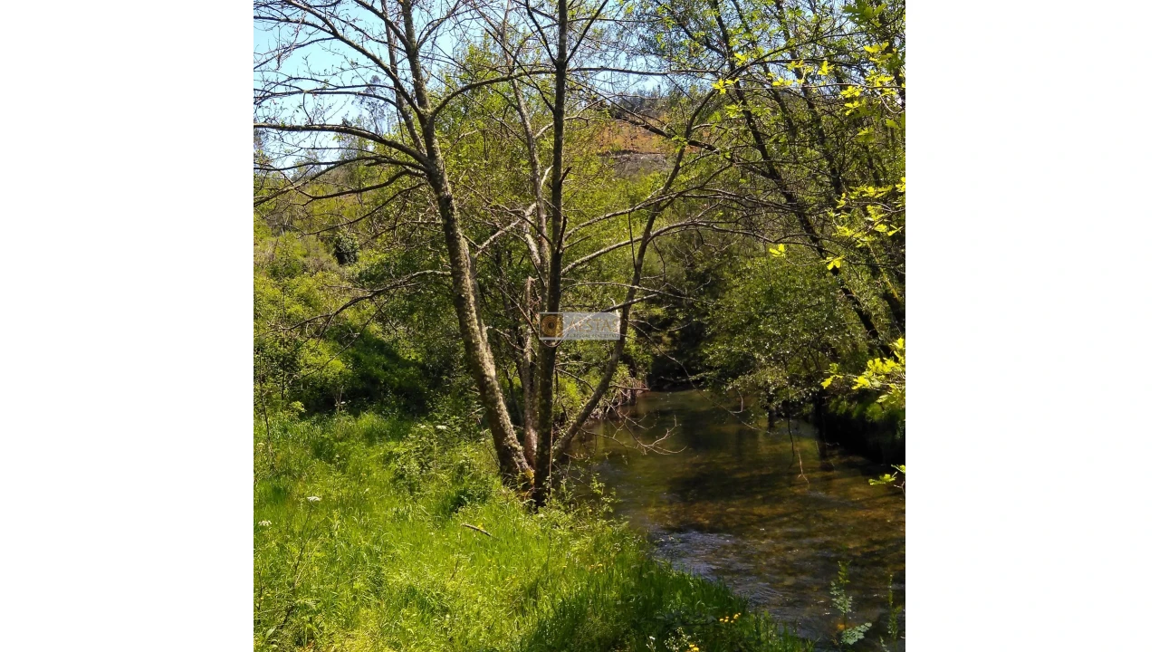 Terreno para Venda em Tropeço Foto 132