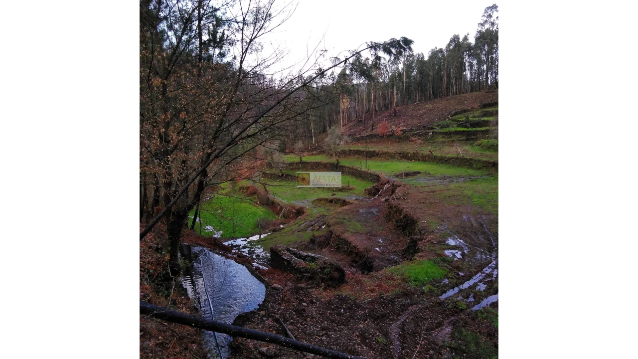 Terreno para Venda em Tropeço Foto 63