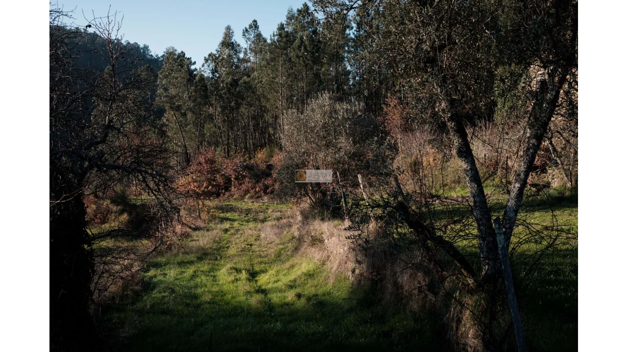 Terreno para Venda em Tropeço Foto 21