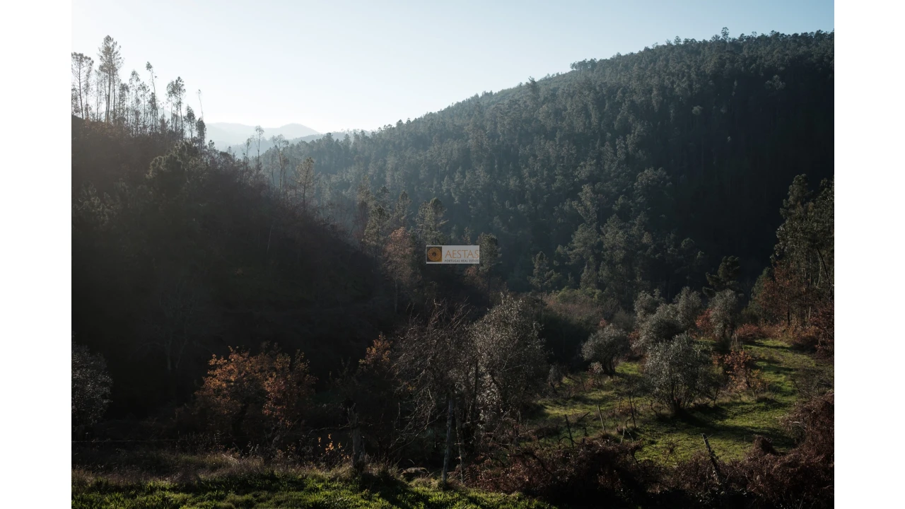 Terreno para Venda em Tropeço Foto 13