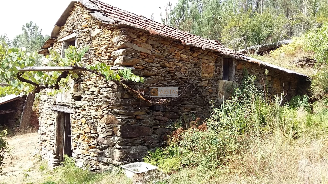 Terreno para Venda em Tropeço Foto 39