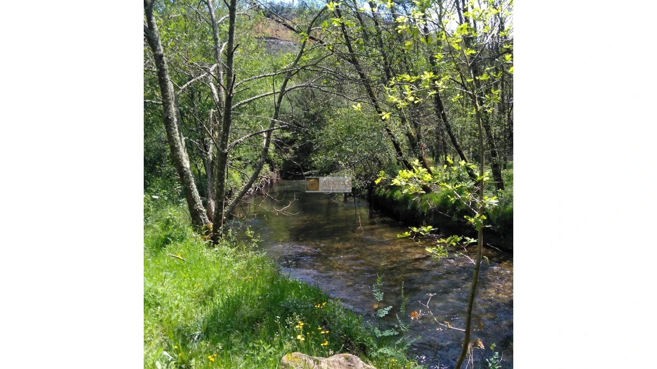 Terreno para Venda em Tropeço Foto 131